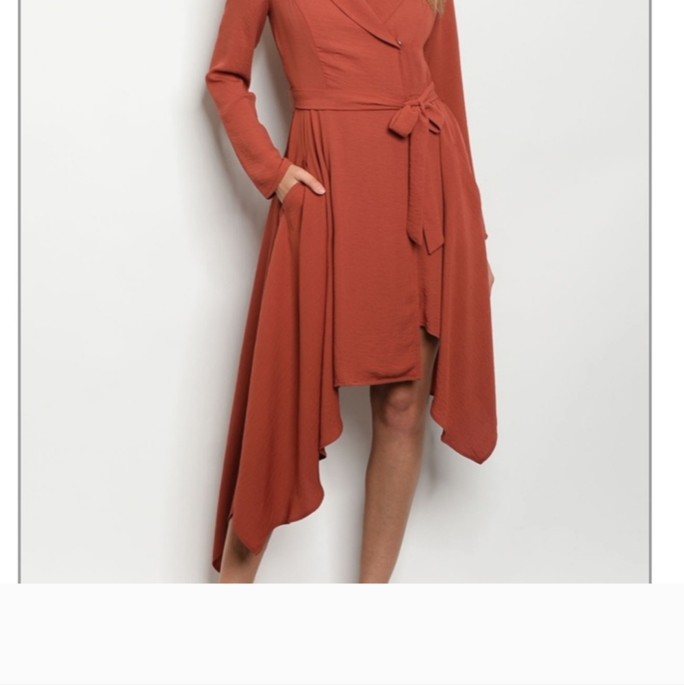 You're going to Love this Sexy and Classy Long Sleeve Asymmetric Hem Dress